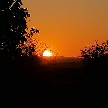 Stargazer Glamping Uk The Mahal 8 People Otel Ross-on-Wye Dış mekan fotoğraf